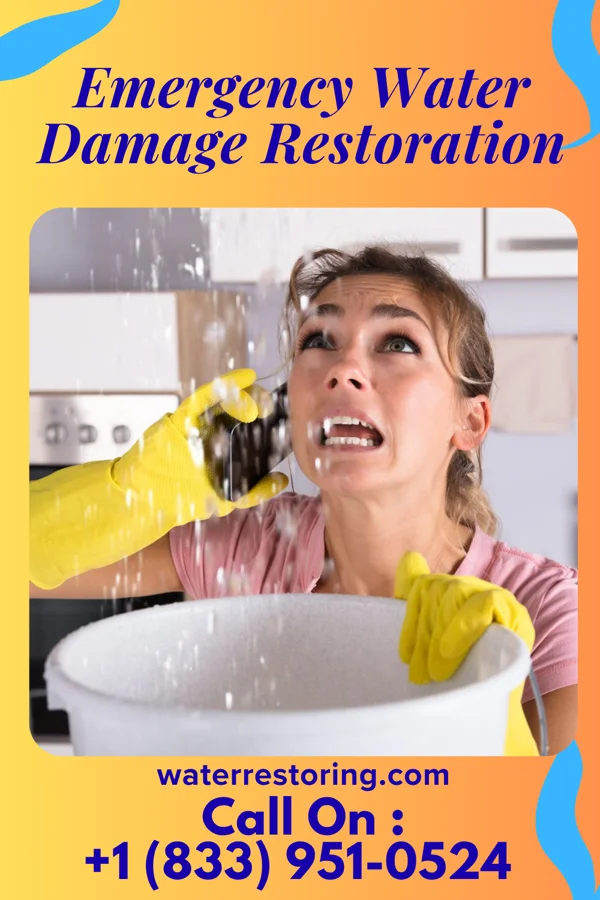 Emergency Water Damage Restoration in St. Pierre, MT