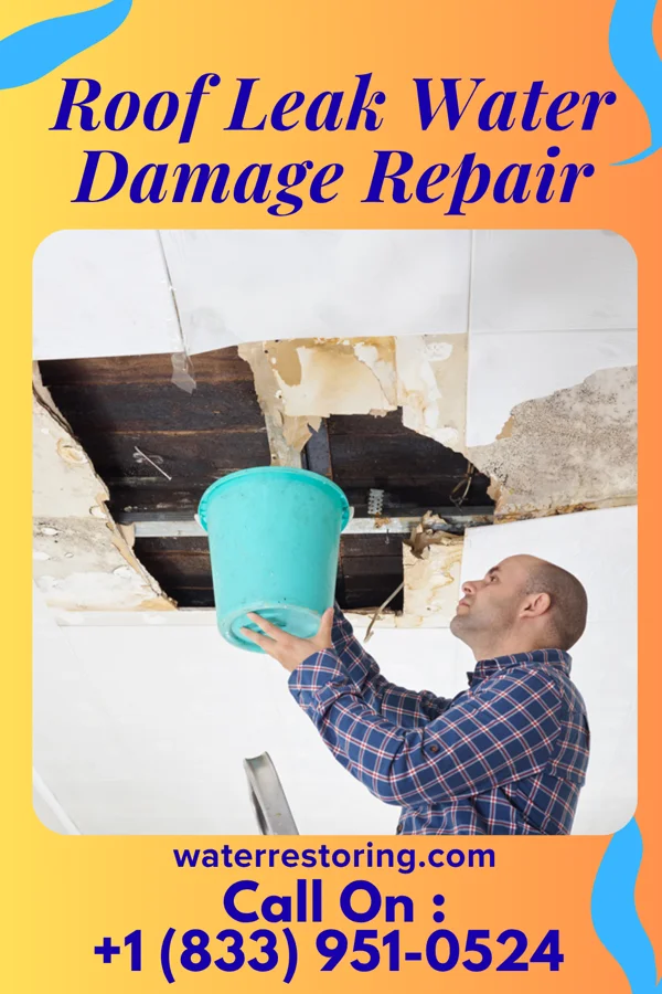 Roof Leak Water Damage Repair in St. Pierre, MT